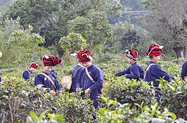 Community Based Tourism in Shan Hills